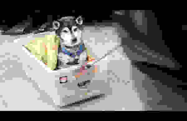 skili1