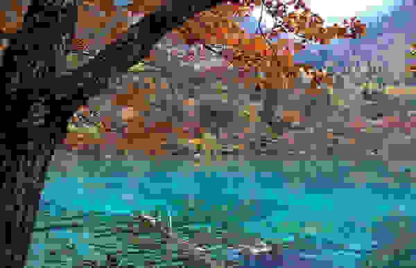 topio2