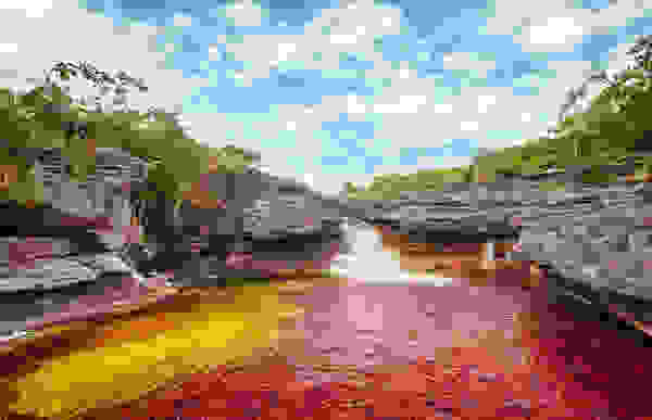 topio23