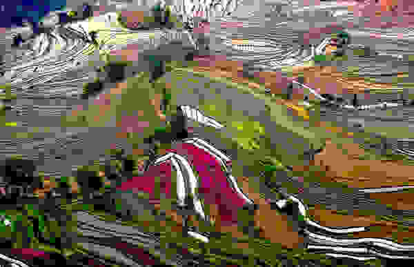 topio6