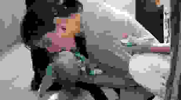 vrefos