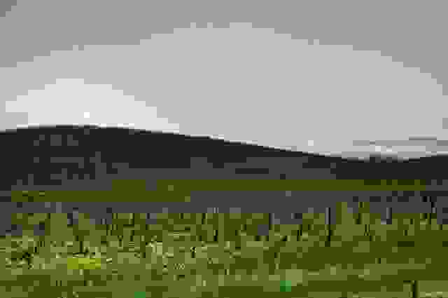 windows-xp-bliss-wallpaper-today-640x425