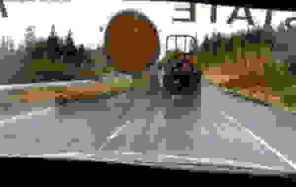 zfoto1