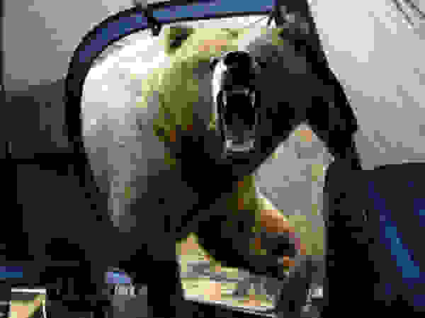 zfoto3