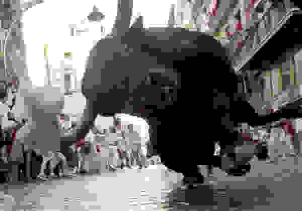 zfoto5
