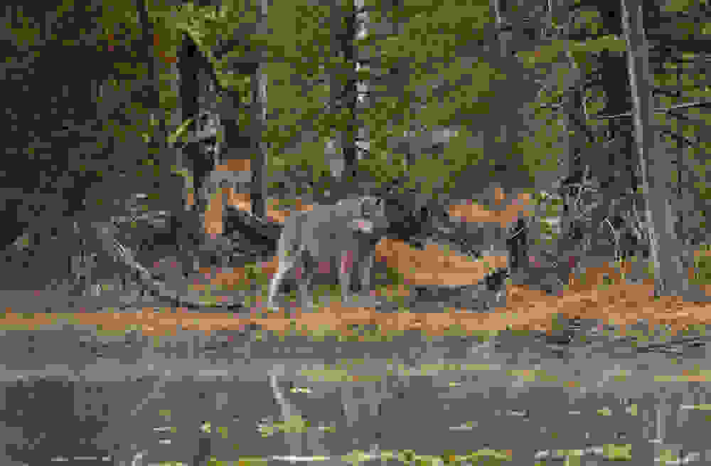 4632359518 7e8c4981b1 o