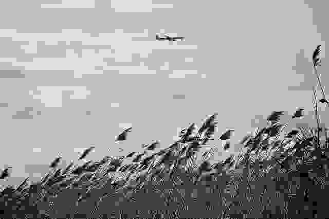 5500237133 4a377d7929 z