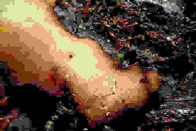 5500238055 b0bf97bba8 z
