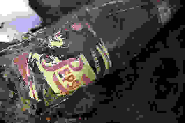 5500238855 2e2e4e70c3 z