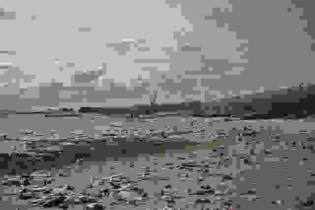 5500835240 d43abd2c87 z