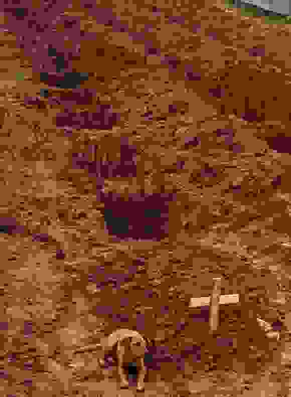 6-580x789