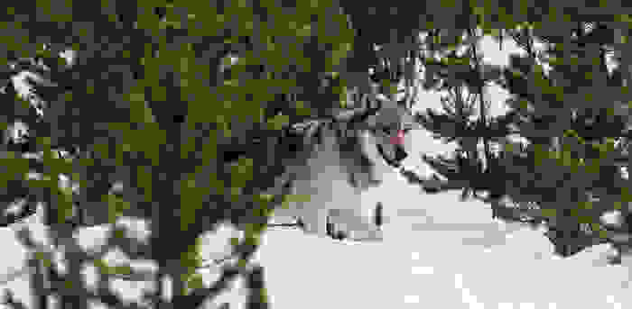 6545954823 abf219239f b