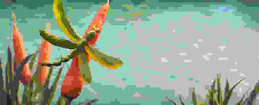 HC-Dragonfly