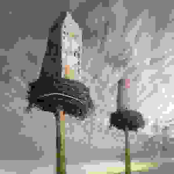 Klimczak4