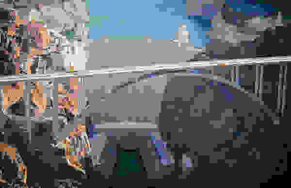 bridge25