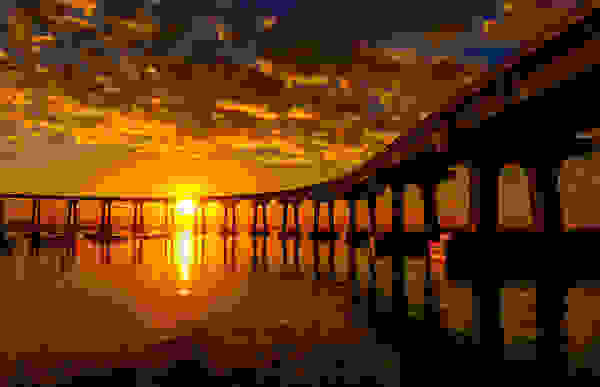 bridge5