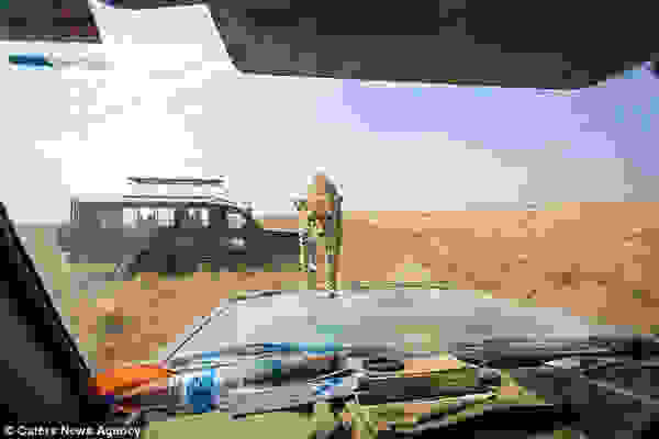 cheetah1