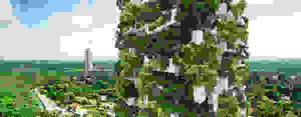 clearpoint5