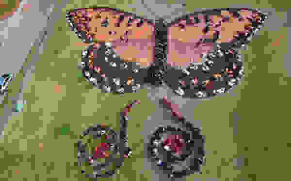 dd2