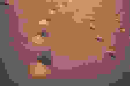 desert4