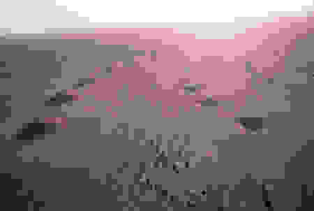 desert6
