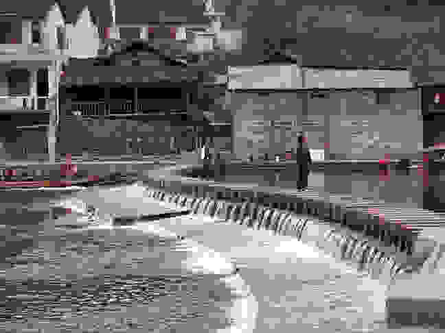 fenghuang13