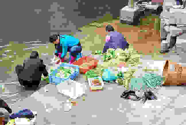 fenghuang15