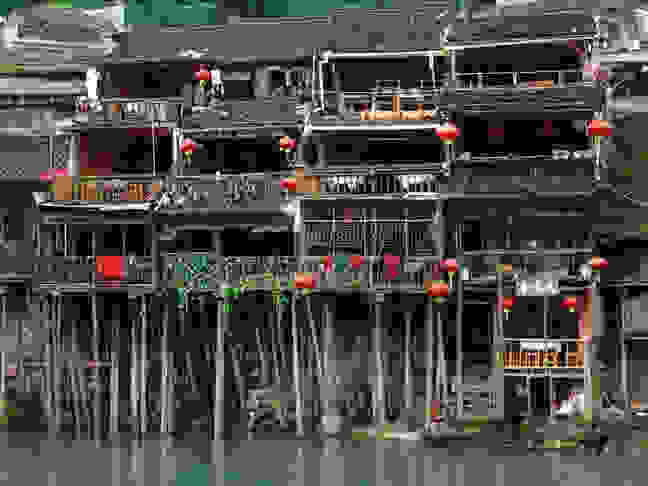 fenghuang6