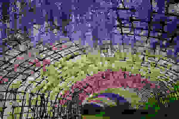 flowertunnel1