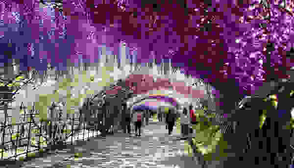 flowertunnel2