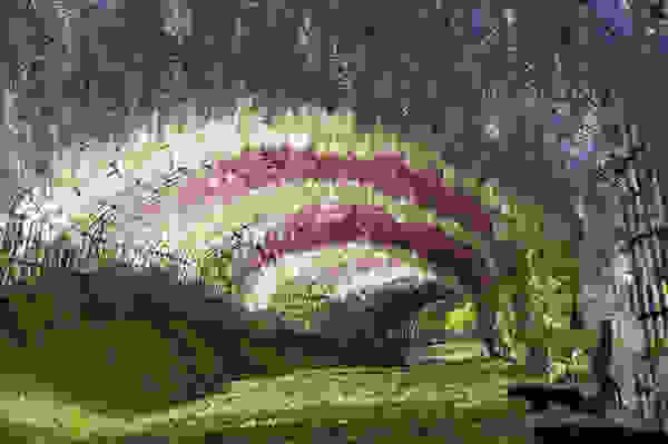 flowertunnel3