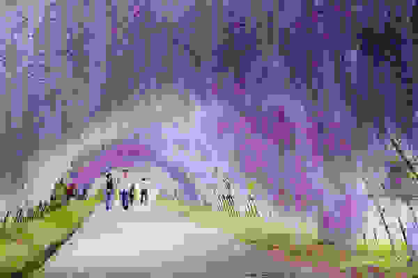 flowertunnel5