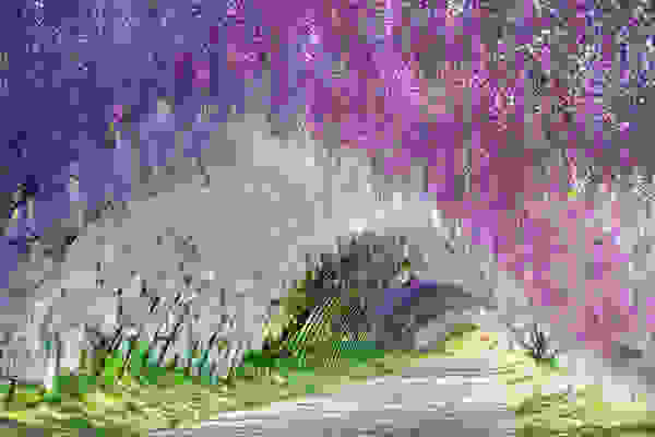 flowertunnel6