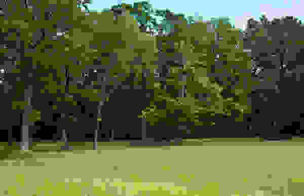 fraxtis1