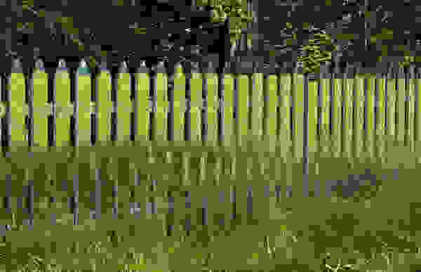 fraxtis2