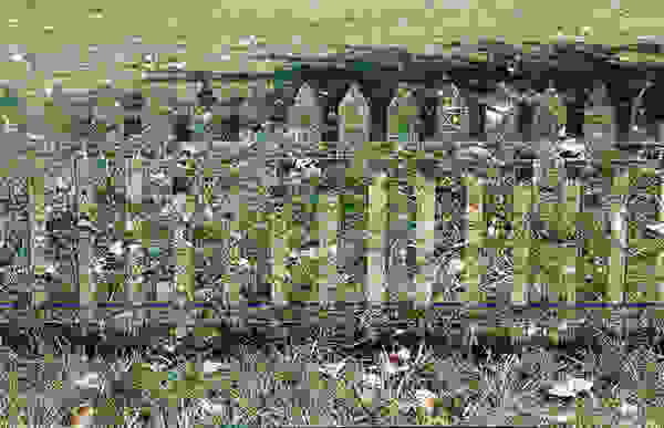 fraxtis4