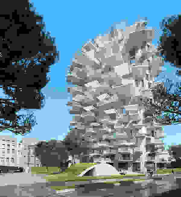fujimoto2