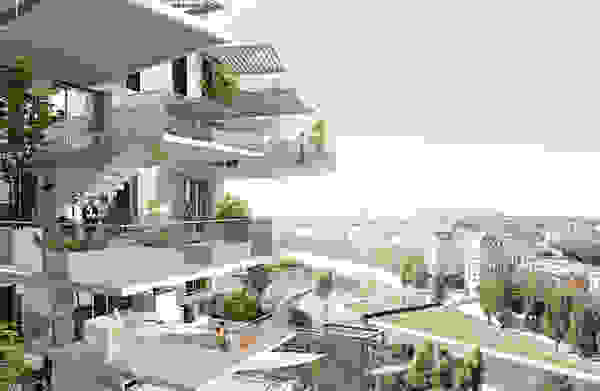 fujimoto6