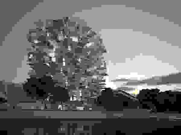 fujimoto7