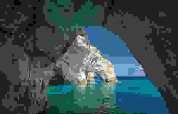 fysi14