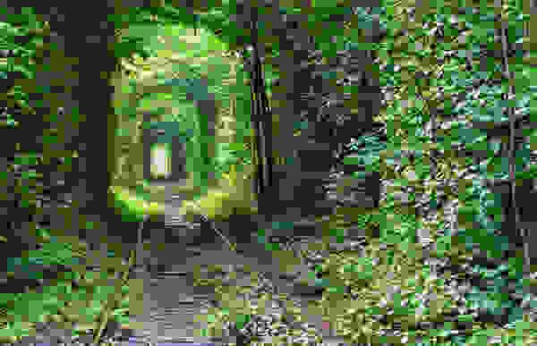 fysi5