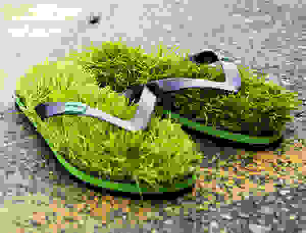 grass1
