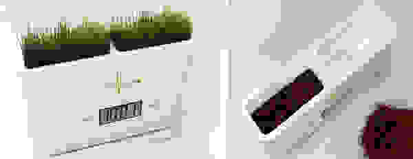grass11