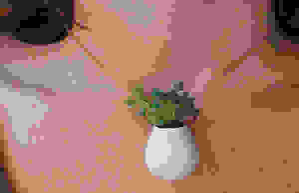 grass13