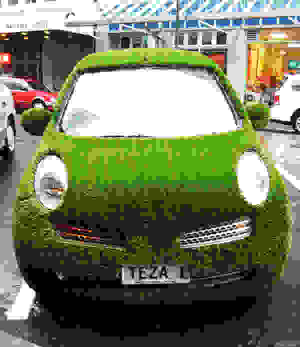 grass2
