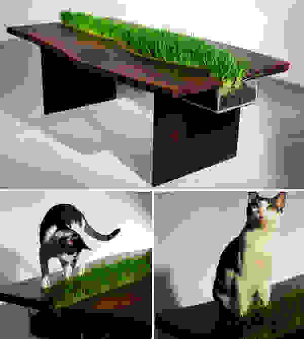 grass3