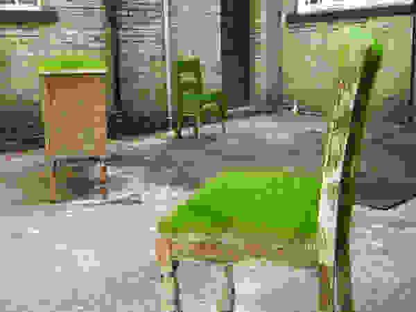 grass4