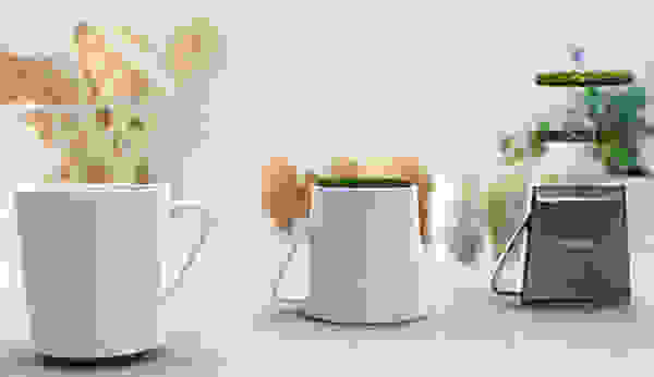 grass5