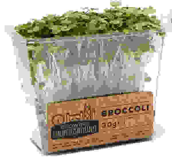 ipogeiolaxaniko7