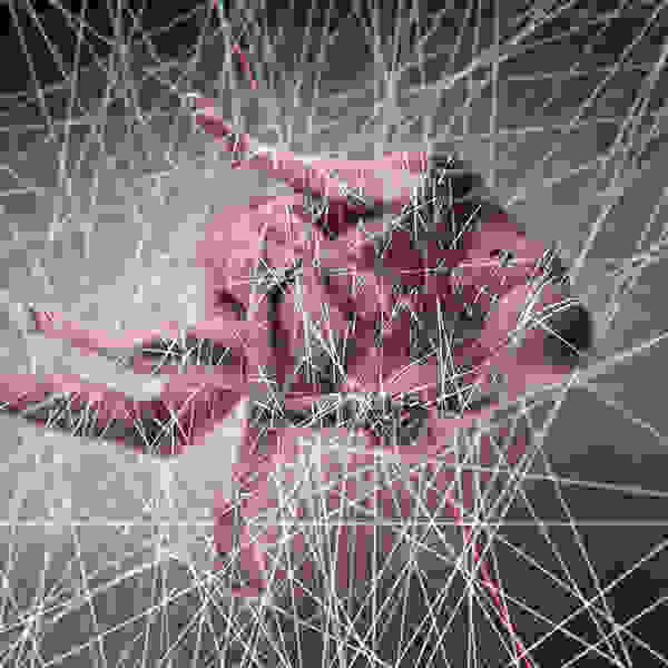 martinakis2